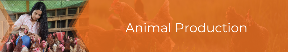 Animal Production