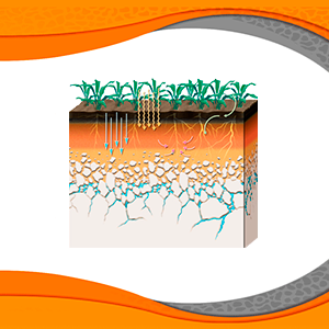 Soils 3: The 12 Orders of Soil Taxonomy