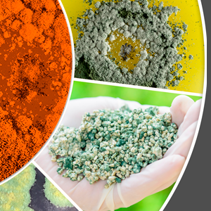 Uso de bioinsumos para el control de plagas