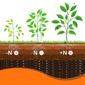 Nitrogen: Balance is Key to a Healthy Crop