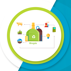 Producción de biogás mediante biodigestores de baja carga