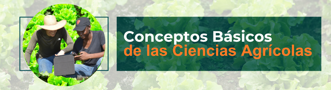 Conceptos básicos de agronomía