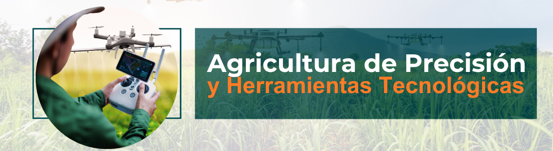 Conceptos básicos de agronomía