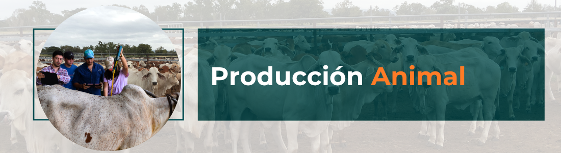 Producción Animal