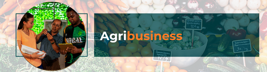 Conceptos básicos de agronomía