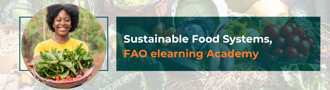 Sustainable Food Systems, FAO elearning Academy