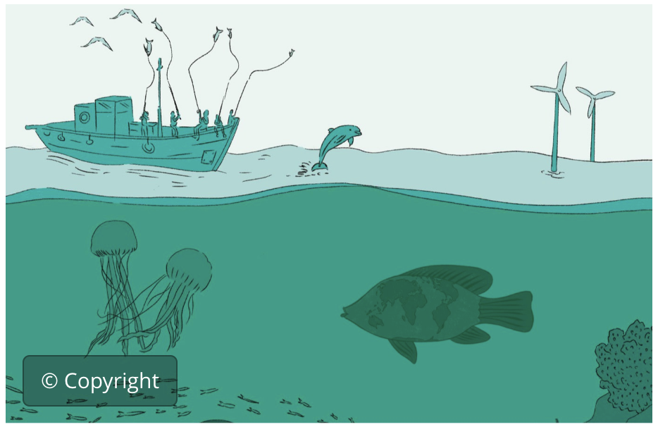 Intro medidas eficaces cons. marina