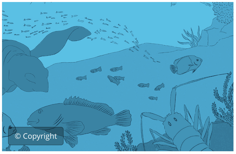 Reconoc. medidas eficaces cons. marina