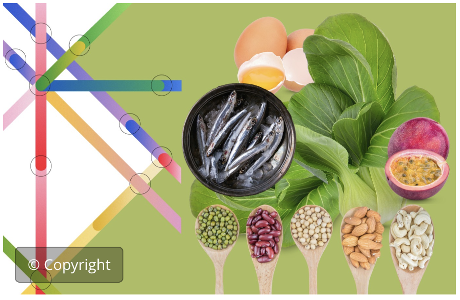 Vías sist. agroalim. a dietas saluds.