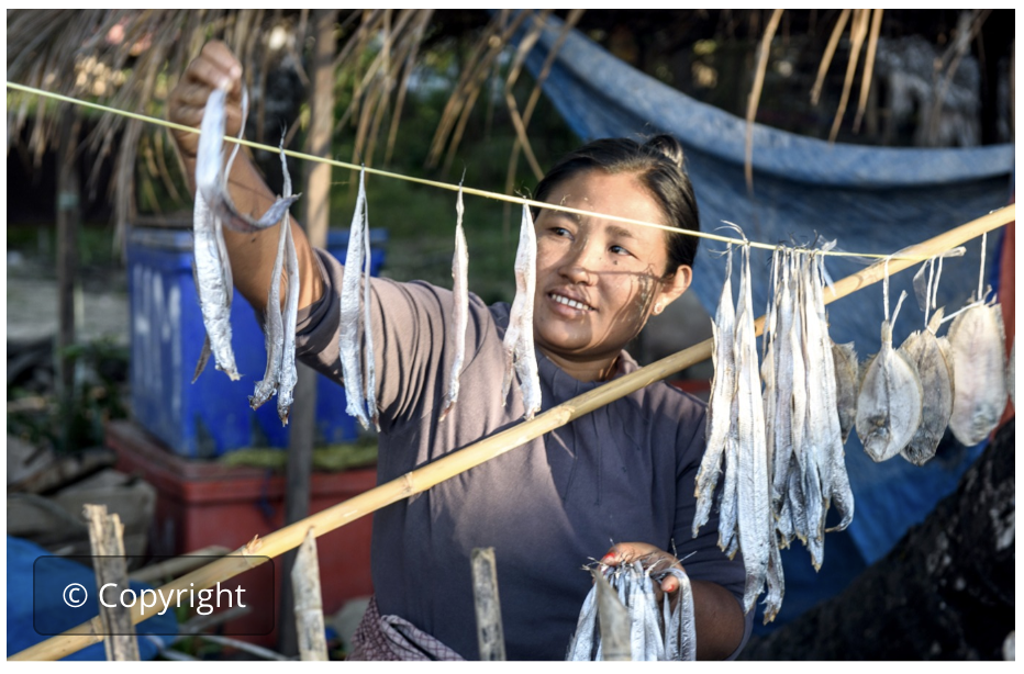 Cadenas de valor sost. con nutrición