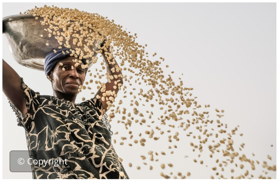 Desarrollo cadenas valor sens. género