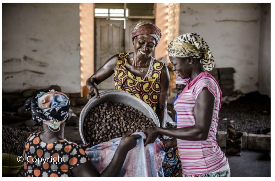 Sustainable food systems