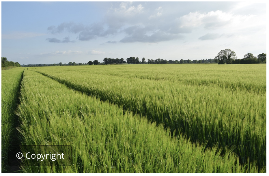 Enabling environ. for responsible agric.