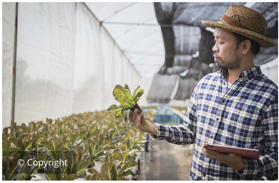 Concept and framework