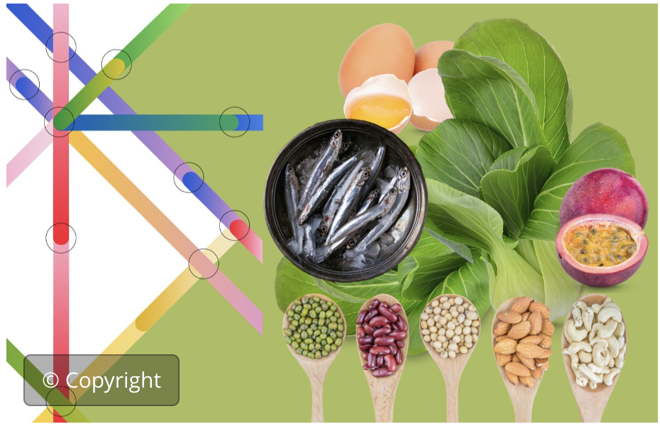 Agrifood pathways to healthy diets