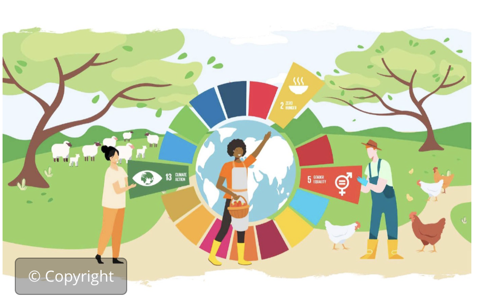 Achiev. gender eq. in agrifood systems