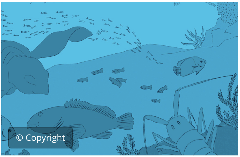 Recogn. other marine fish. conserv. meas