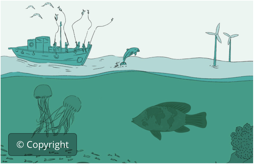 Marine fisheries conserv. measures
