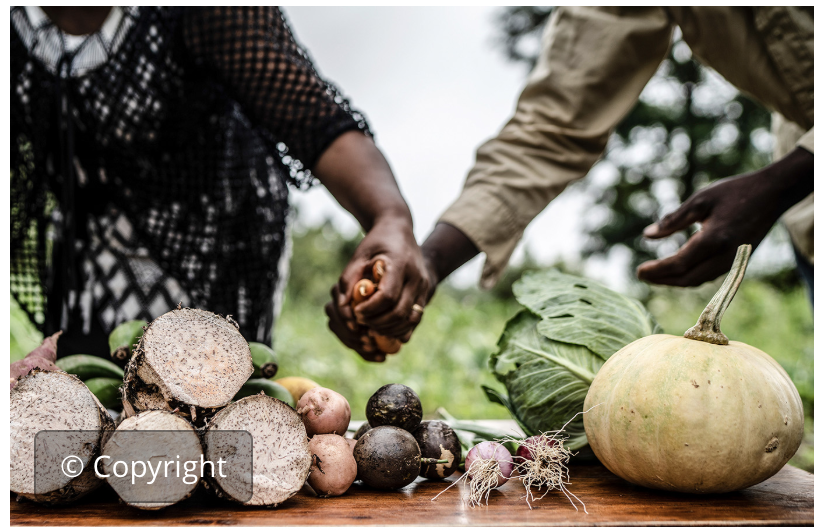 Parliamentary action for enabling food systems