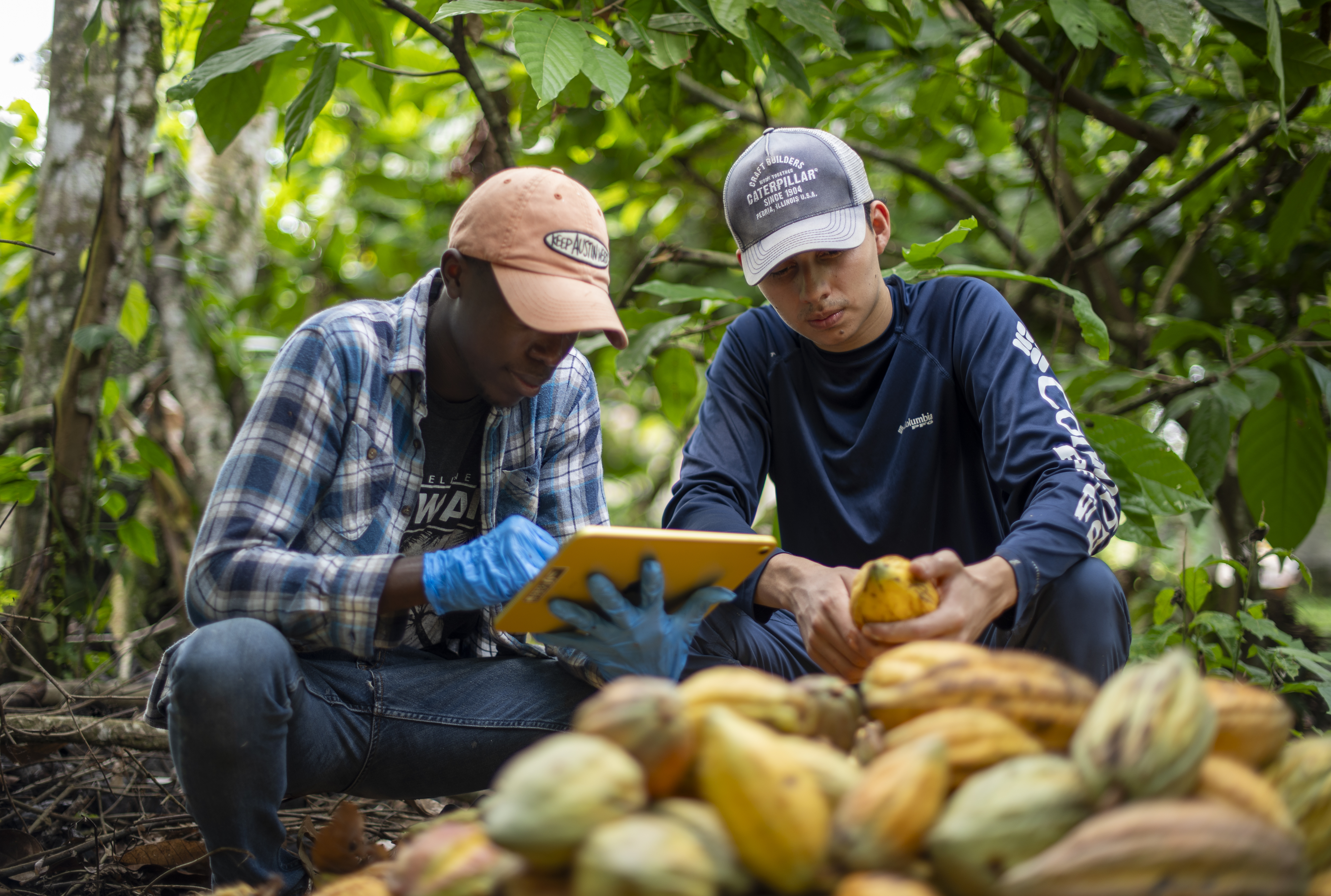 En nuestros micromódulos podrás desarrollar habilidades en agricultura, energías renovables, emprendedurismo y mucho más.