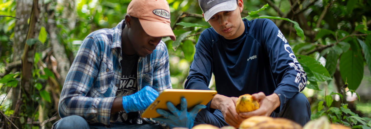 En nuestros micromódulos podrás desarrollar habilidades en agricultura, energías renovables, emprendedurismo y mucho más.