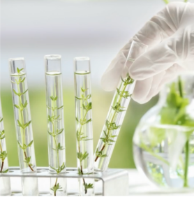 1. Organic Molecules in Agriculture